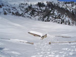 La neve è tanta - foto da Giuseppe Salvi 31 genn. 08