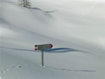 Di neve ne e' caduta un bel po' - foto Marcello Pellegrinelli 6 gennaio 08