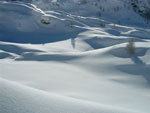 Un mare di neve - foto Marcello Pellegrinelli 6 gennaio 08