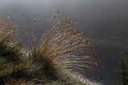 IMG_4806