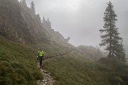 IMG_4817