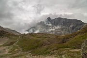 IMG_4884
