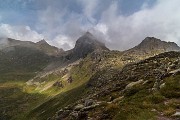 IMG_4931