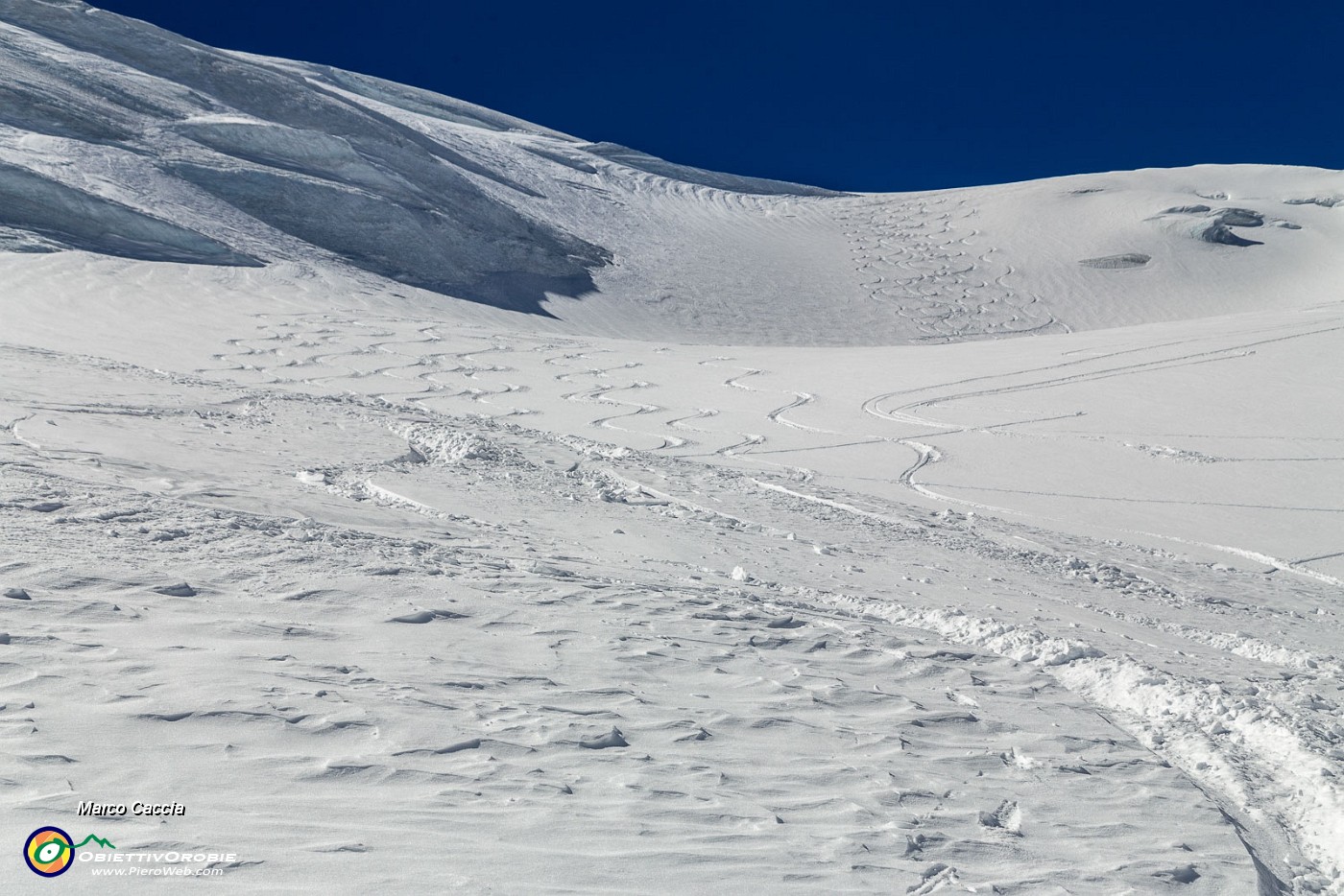 _MG_1317.JPG