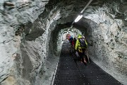 _MG_0984