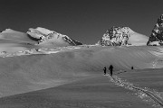 _MG_1117