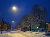 IMG_9116
