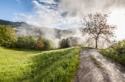 IMG_0860