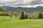 IMG_0868