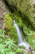IMG_1077