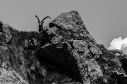 _MG_3284
