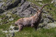 _MG_3298