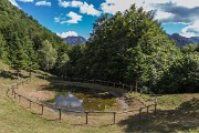 _MG_3312