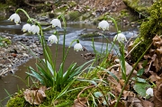 ANTICIPO DI PRIMAVERA - marzo 2012 - FOTOGALLERY