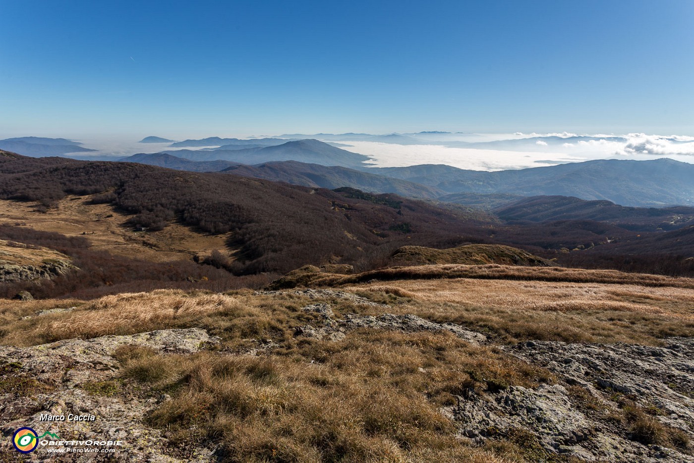 _MG_4413.JPG