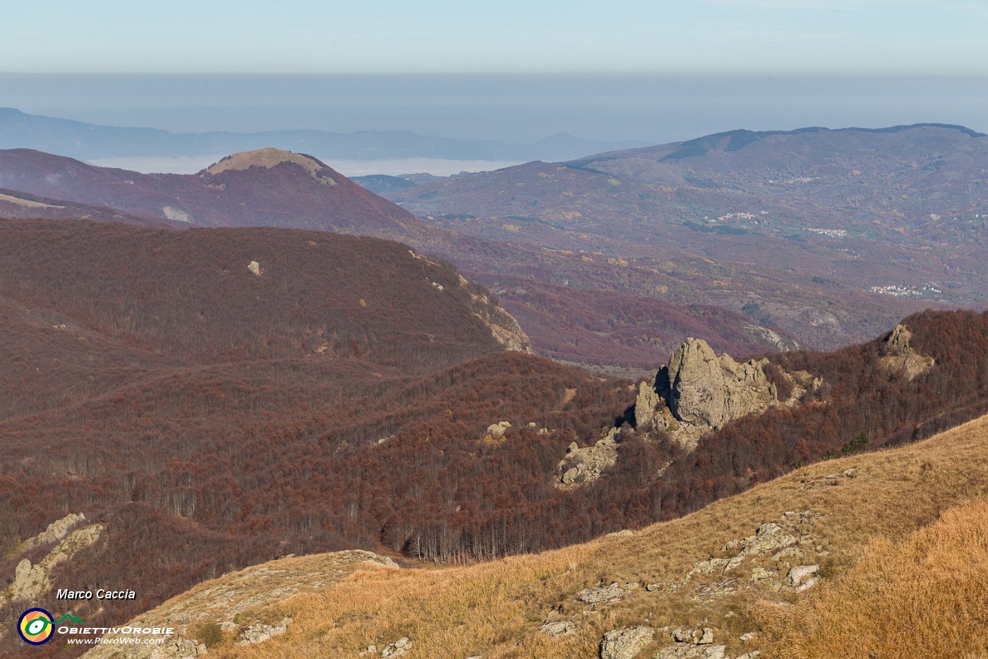_MG_4425.JPG