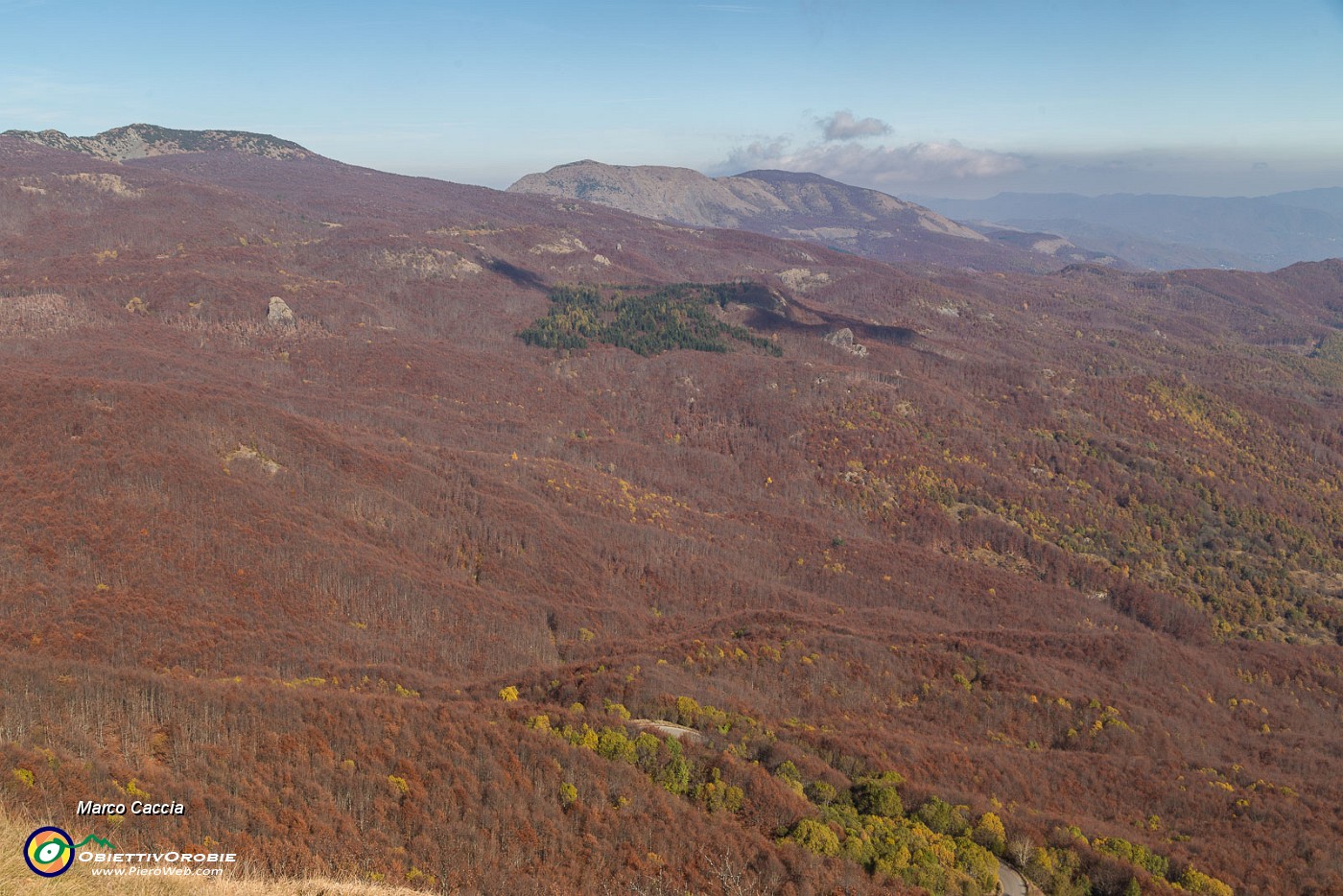 _MG_4506.JPG