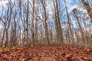 Sabato 26 ottobre 2013 – Trasferta sull’Appennino Ligure - FOTOGALLERY