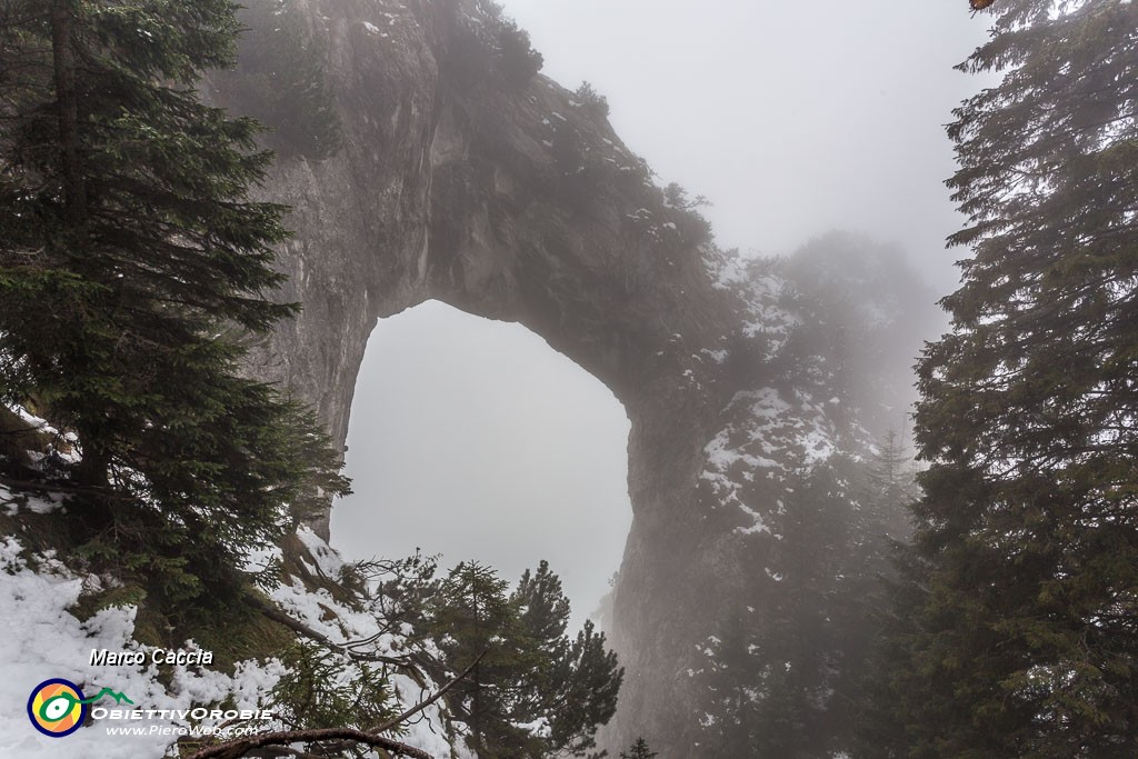 _MG_8262.JPG