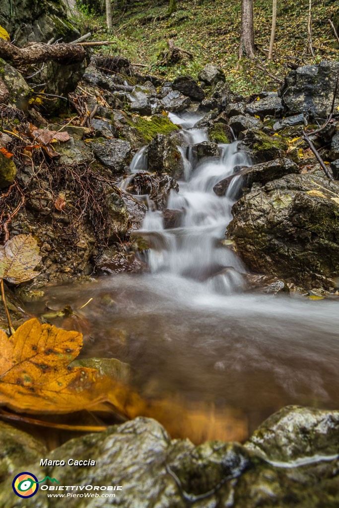 _MG_8332.JPG