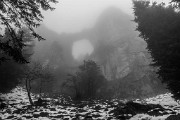 _MG_8238