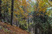 Sabato 17 ottobre 2015 – Arco di Pegherolo - FOTOGALLERY