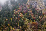 _MG_8286