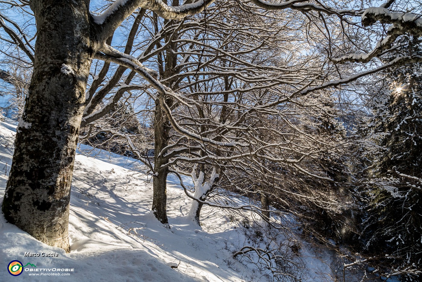 _MG_6393.JPG