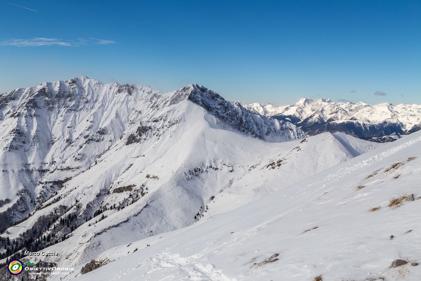 _MG_6463.JPG