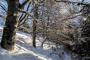 _MG_6393
