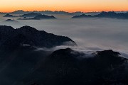 _MG_7203