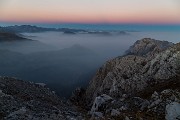_MG_7206