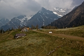 IMG_8437_resize