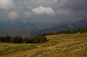 IMG_8439_resize