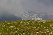 IMG_8440_resize