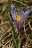IMG_8497_resize