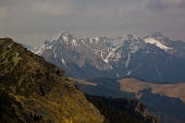 IMG_8511_resize