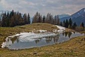 IMG_8519_resize