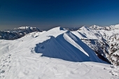 Salita invernale al PIZZO BACIAMORTI dal RIFUGIO GHERARDI il 6 marzo 2011 - FOTOGALLERY