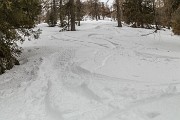 _MG_8845