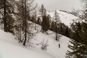 _MG_8848