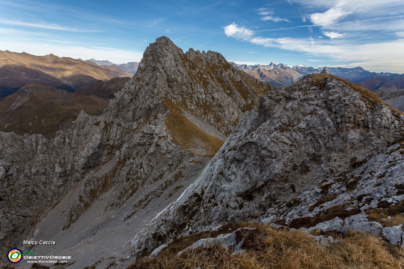 _MG_8547.JPG