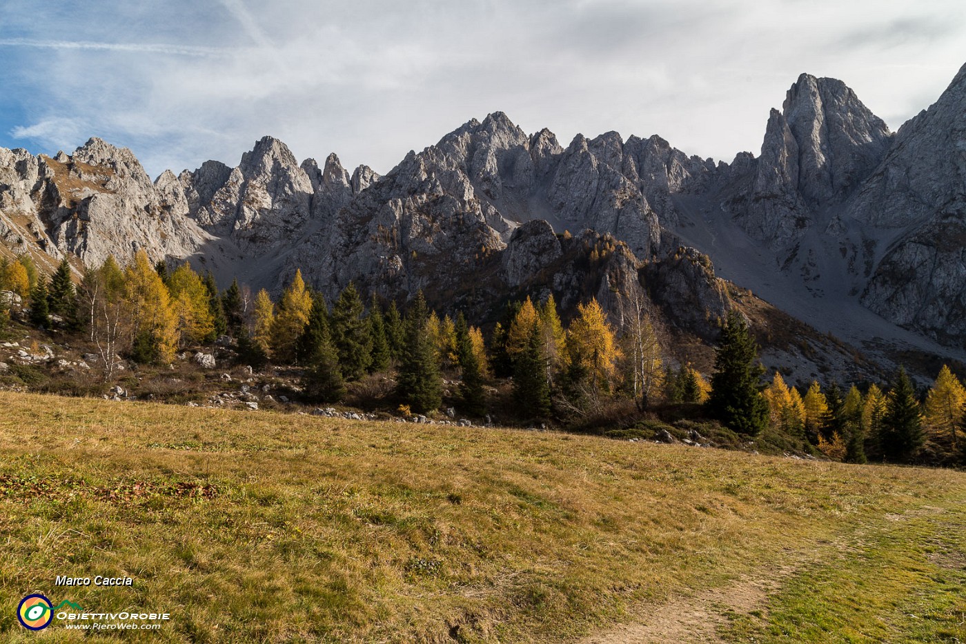 _MG_8614.JPG