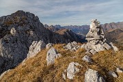_MG_8508
