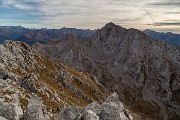 _MG_8524