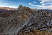 _MG_8547
