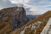 _MG_8559