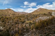 _MG_8587