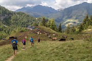 Domenica – Lunedì 14/15 agosto – M.te Fioraro – Rif. Balicco – Giro delle Casere - FOTOGALLERY