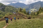 Domenica – Lunedì 14/15 agosto – M.te Fioraro – Rif. Balicco – Giro delle Casere - FOTOGALLERY